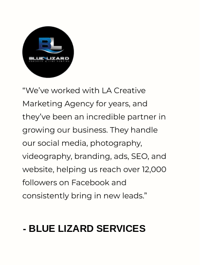 Blue Lizard Services