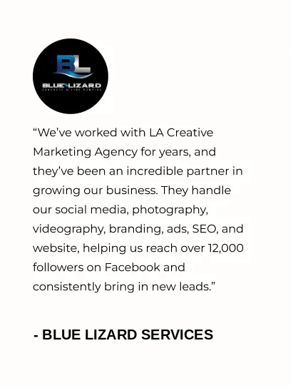 Blue Lizard Services